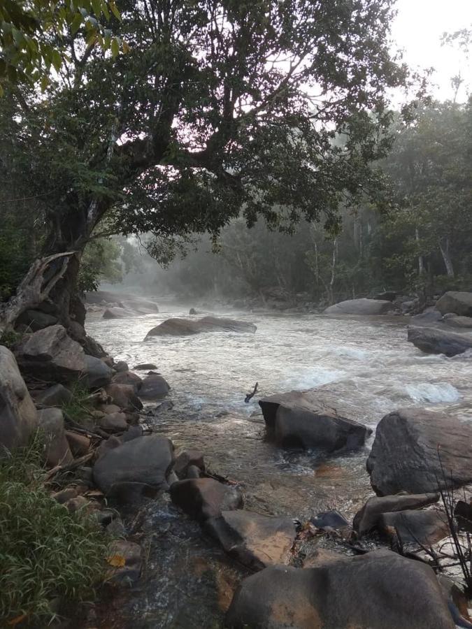 Coorg River Rock Camping มาดิเครี ภายนอก รูปภาพ