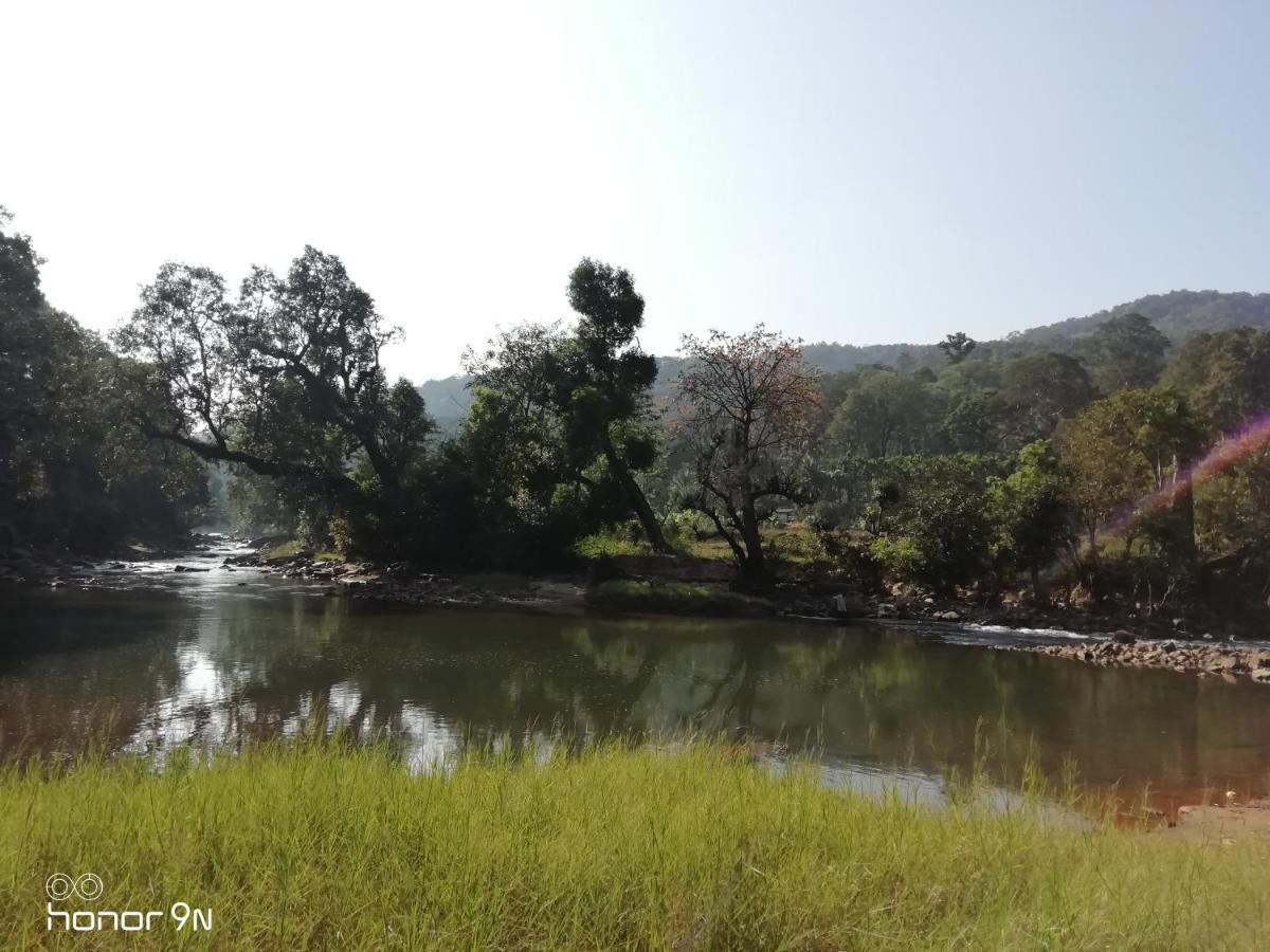 Coorg River Rock Camping มาดิเครี ภายนอก รูปภาพ