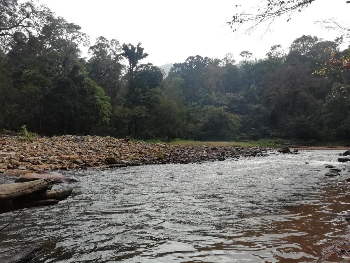 Coorg River Rock Camping มาดิเครี ภายนอก รูปภาพ