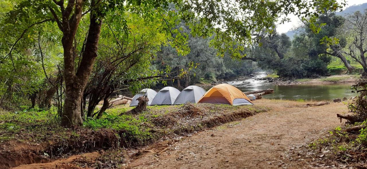Coorg River Rock Camping มาดิเครี ภายนอก รูปภาพ