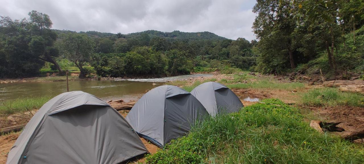 Coorg River Rock Camping มาดิเครี ภายนอก รูปภาพ